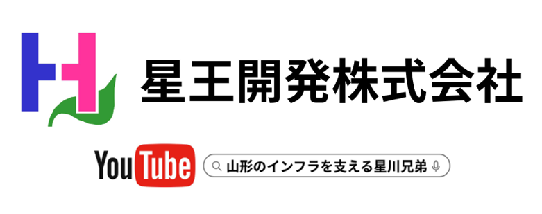星王開発